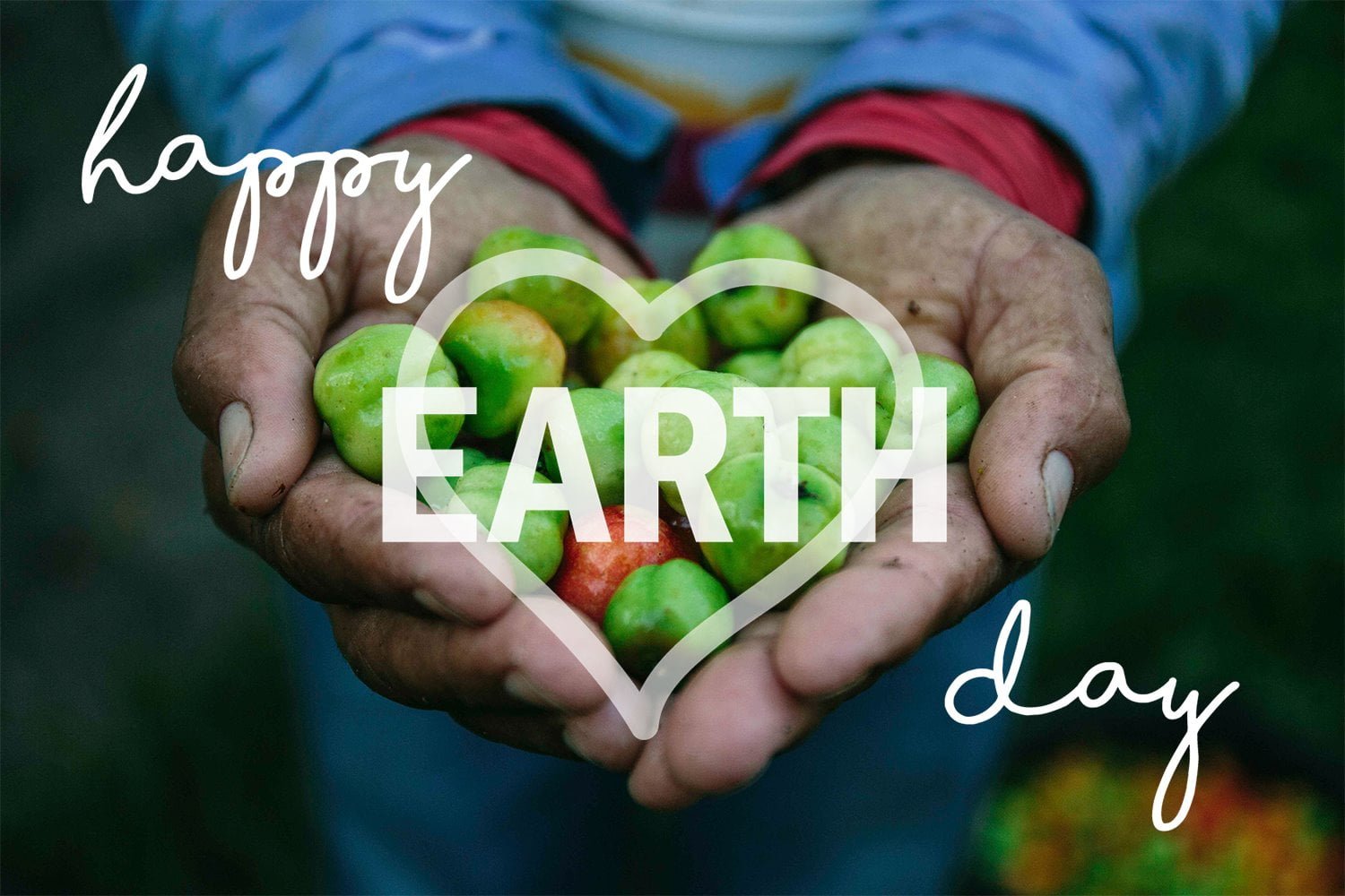 CELEBRA EL DIA DE LA TIERRA CON NOSOTROS