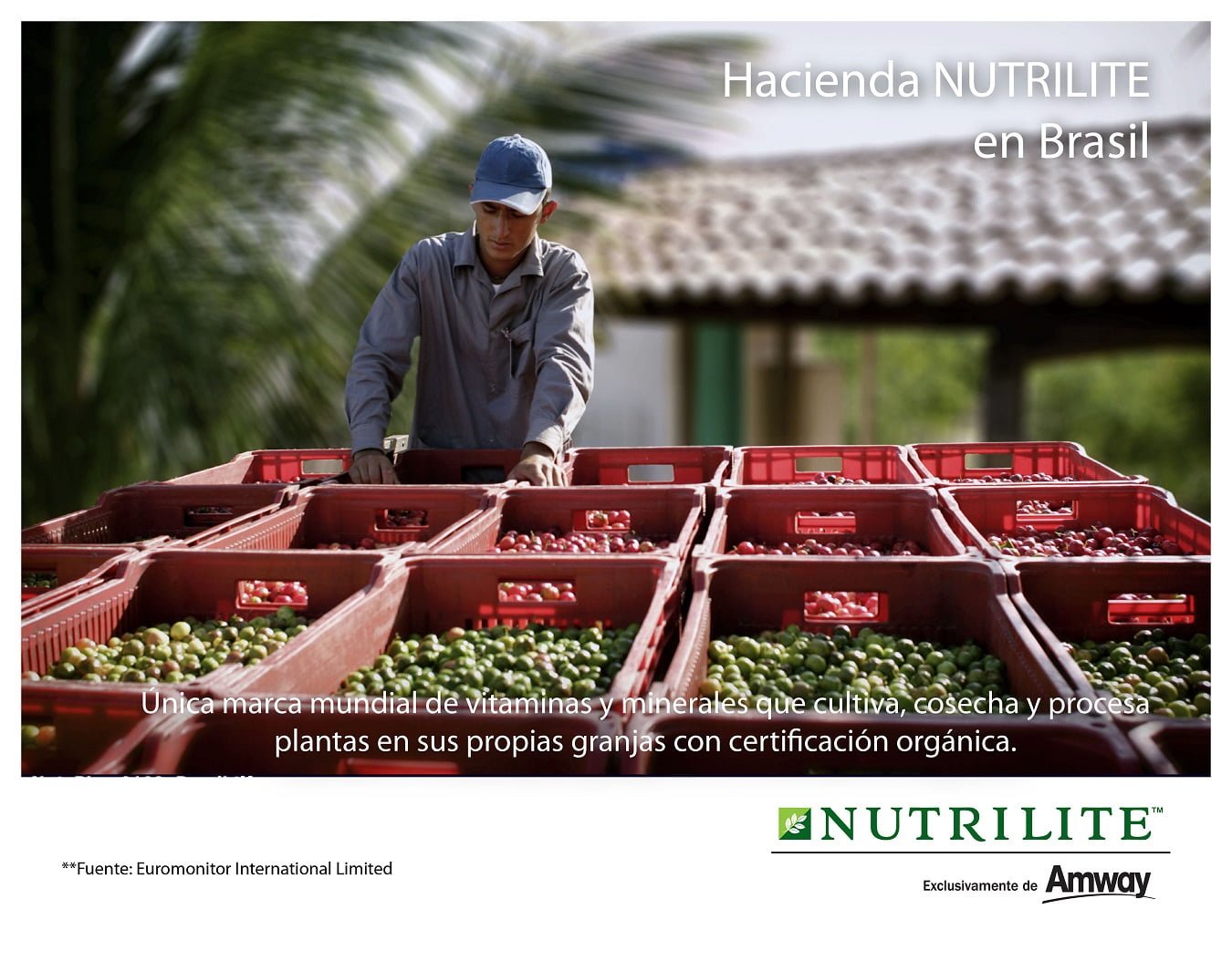 Nutrición Orgánica